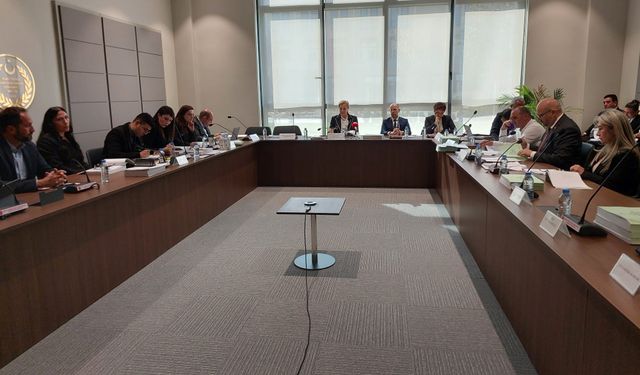 Komitedeki bütçe görüşmeleri devam ediyor… İlk olarak Cumhurbaşkanlığı bütçesi ele alınıyor