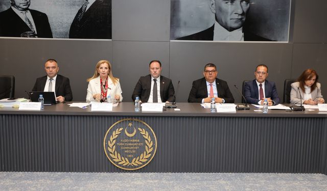 2026 bütçesinin Komite'de görüşülmesine başlandı