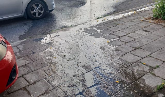 Lefke Çevre ve Ekoloji Derneği: “Lağım suları halk sağlığını tehdit ediyor"