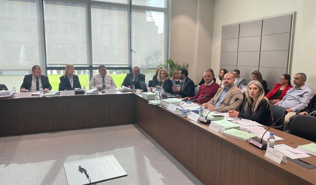 Maliye Bakanlığı bütçesi komitede oy çokluğuyla kabul edildi…