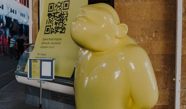 Bienal Lefkoşa cumartesi sona eriyor... Cuma akşamı film gösterimi var