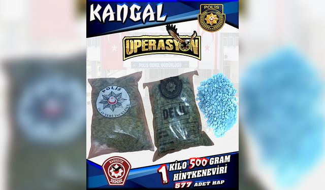 Polisten “Kangal Operasyonu”… Lokmacı’da 1,5 kilo hintkeneviri, hap ve toz madde ele geçirildi