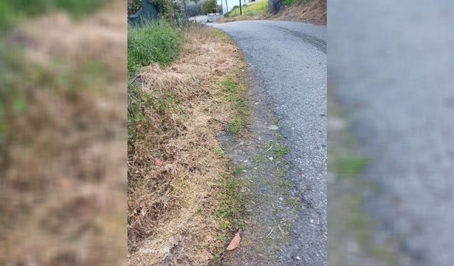 Lefke Çevre ve Ekoloji Derneği, ot kurutma ilaçlarının kullanılmasına tepki gösterdi