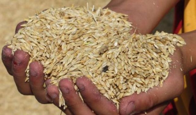 4 bin 500 ton arpanın yarın sabah Gazimağusa Limanı’na ulaşması bekleniyor