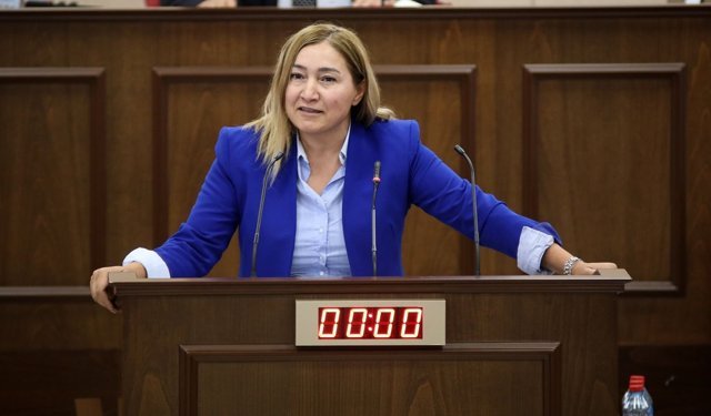 Yasemi Öztürk: İTÜ bir CTP projesi, Genel Kurulda geri adım atmayacağız