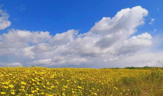 Hava sıcaklığı yükselerek, 24-27 derece dolaylarında seyredecek