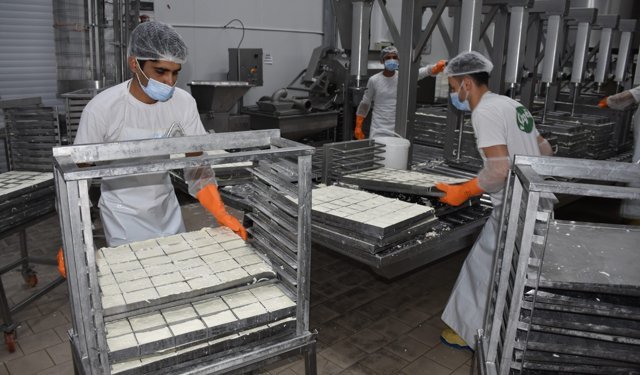 KTSO: “Yeşil Hat üzerinden hellim ihracatındaki engel kalkıyor”