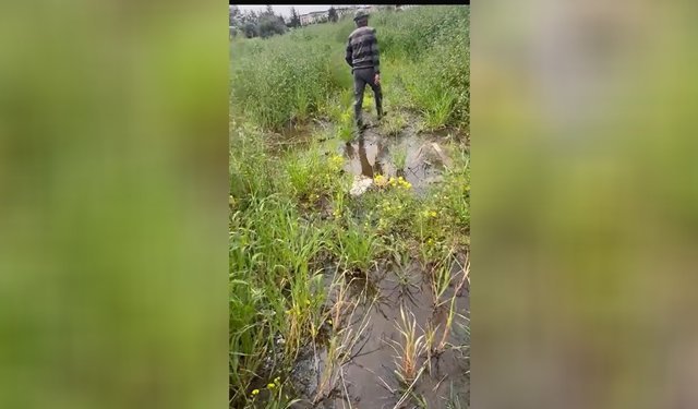 "Çevrenin korunması, yalnızca kurumların değil tüm bireylerin ortak sorumluluğu"