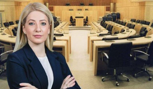 Rum Meclis ve DİSİ Başkanı Dimitriu Ağrotur'da geniş kapsamlı toplantıya katıldı