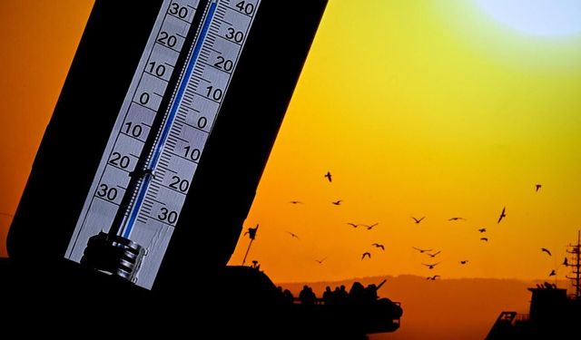 Bahar geliyor: Sıcaklıklar 8 derece birden artacak