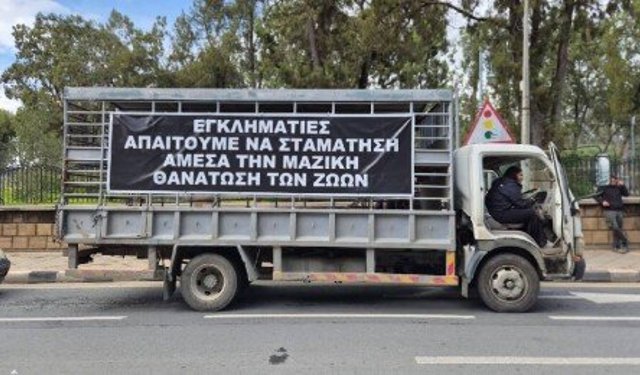 Güney Kıbrıs'ta Hayvancılar eyleme hazırlanıyor