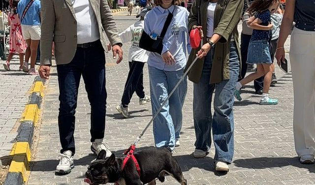 Alagadi’de evcil hayvanlar için festival düzenlendi