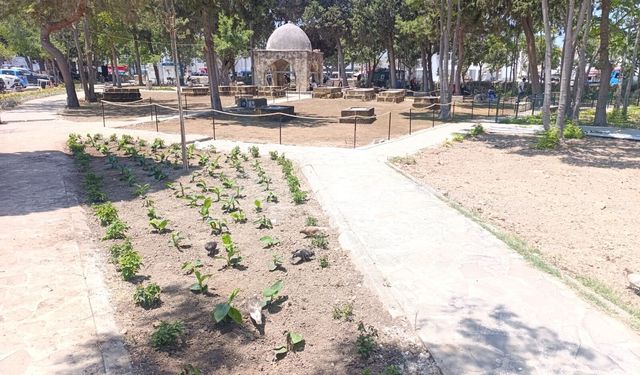 Girne Belediyesi’nden Baldöken Osmanlı Mezarlığı’na peyzaj düzenlemesi