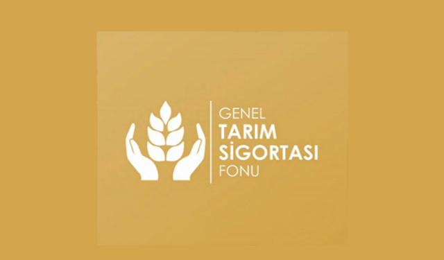 Doğrudan Gelir Desteği birinci avans ödemeleri bankalara yatırıldı