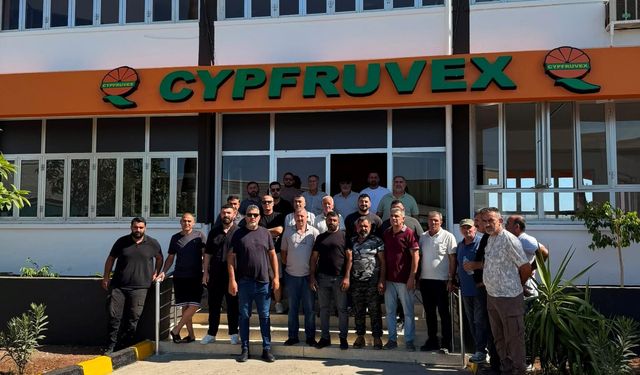 Narenciye Kesim Ekipleri Birliği ödeme talep etti