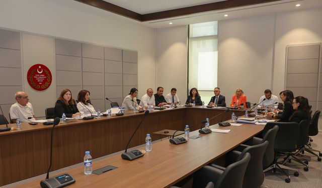 Hukuk Komitesi'nde bir yasa, bir de karar tasarısı görüşüldü