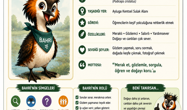 MAKAMER, öğretmenlere yönelik Ayluga Sulak Alanı eğitimi düzenliyor