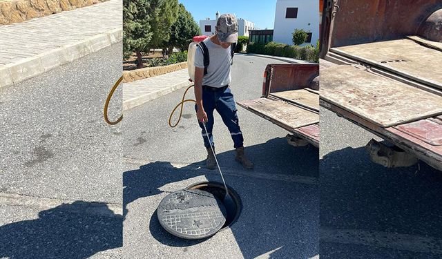 Tatlısu Belediyesi, Batı Nil Virüsü’ne karşı sivrisinekle mücadele çalışmalarını yoğunlaştırdı