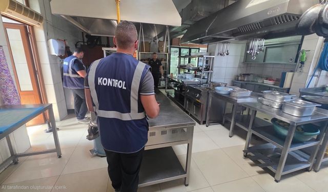 Kaplıca bölgesindeki su ürünleri restoranları denetlendi