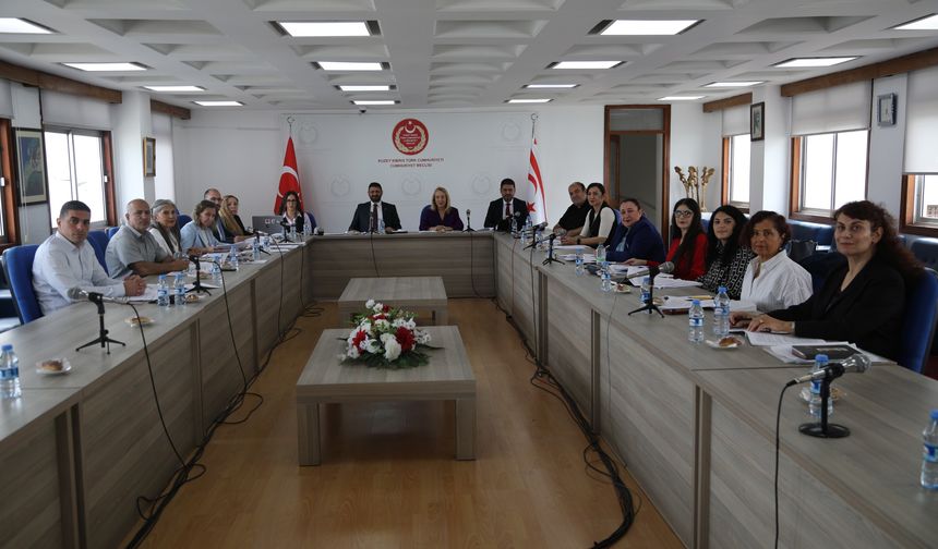 “Sosyal Hizmetler Dairesi Yasa Tasarısı” komitede görüşülüyor