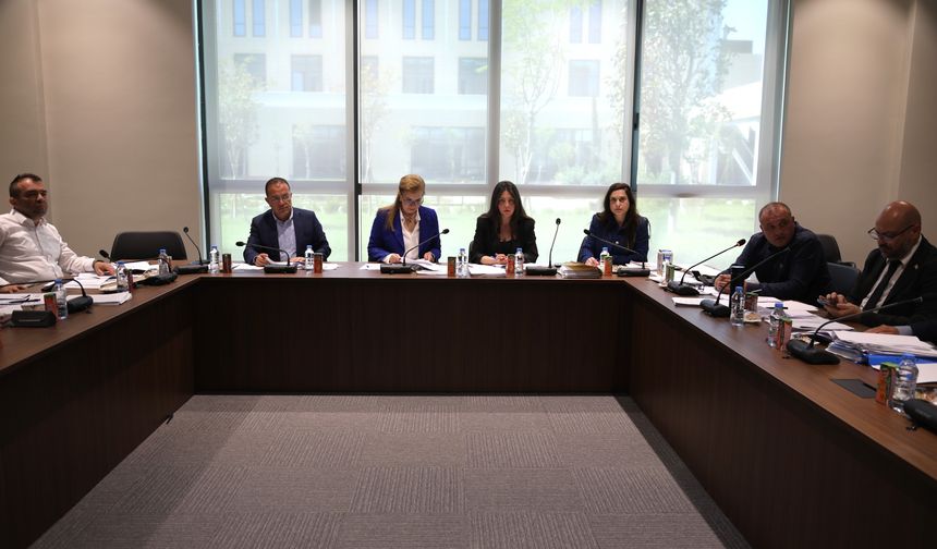 Ekonomi, Maliye, Bütçe ve Plan Komitesi bugün sigorta yasa tasarılarını görüştü