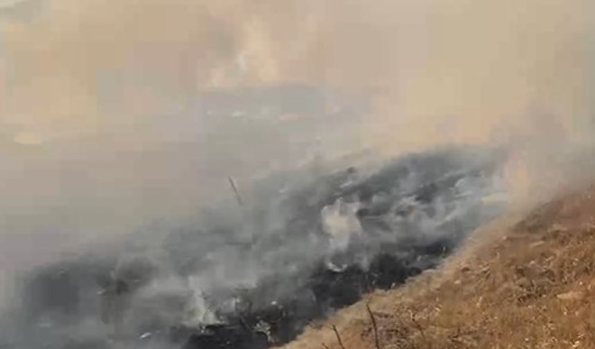 Avtepe’deki yangın tamamen söndürüldü