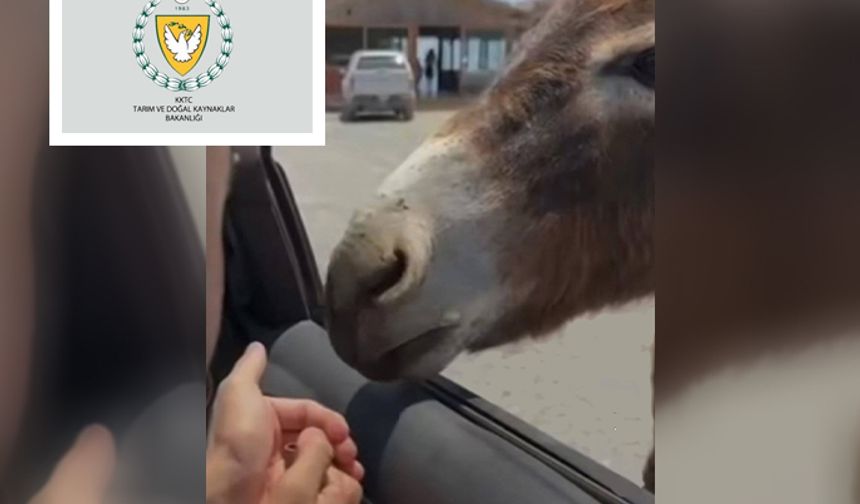 Tarım ve Doğal Kaynaklar Bakanlığı Hayvan Refahı Yasası'na dikkat çekti