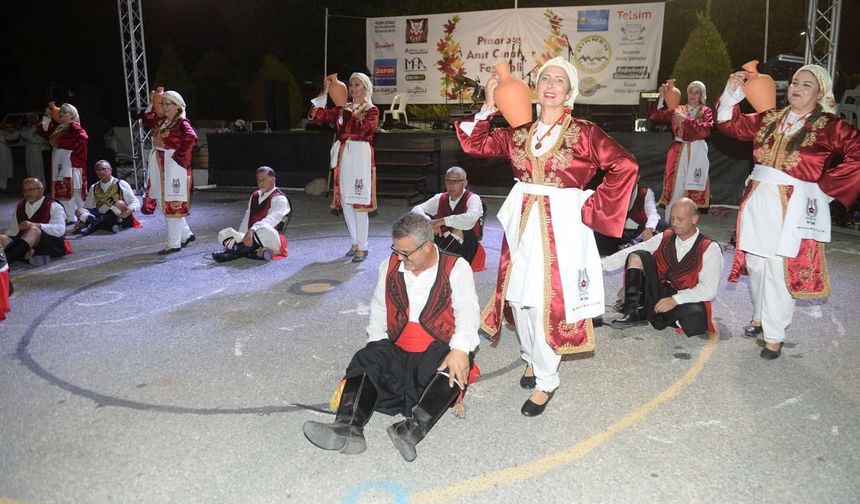 Pınarbaşı’nda yapılacak 2’nci Anıt Çınarlar Festivali bugün başlıyor