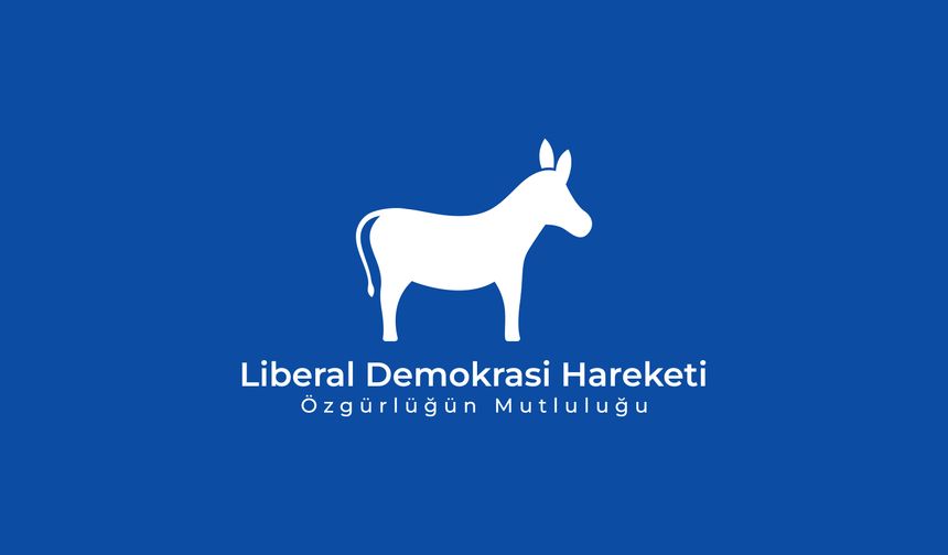Liberal Demokrasi Hareketi, Tufan Erhürman’ı destekleme kararı aldığını açıkladı
