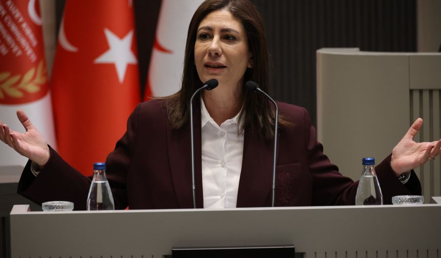 İncirli, Meclis'te hükümete çağrıda bulundu: "Protokolü geri çekin, yeniden değerlendirilsin"