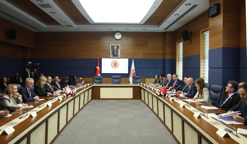 Cumhuriyet Meclisi Dostluk Grubu heyeti TBMM AB Uyum Komisyonu ile görüştü