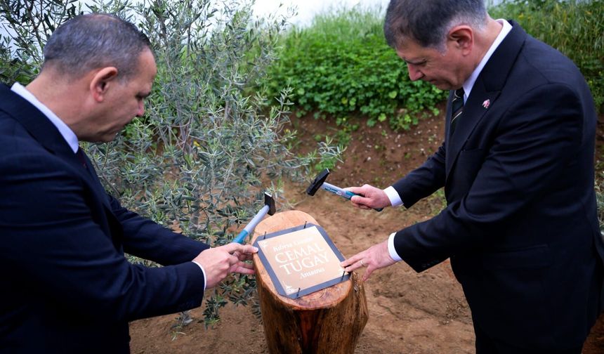 Harmancı ve Tugay, Spor ve Kardeşlik Parkı alanını ziyaret etti