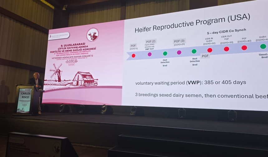 Çavuş: Bilim ve yenilik hayvancılığın geleceğini belirleyecek