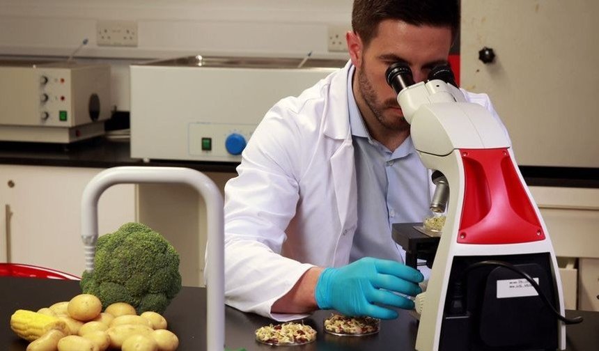 Yerli ürünlerin 6'sında tavsiye dışı ve limit üstü bitki koruma ürünü