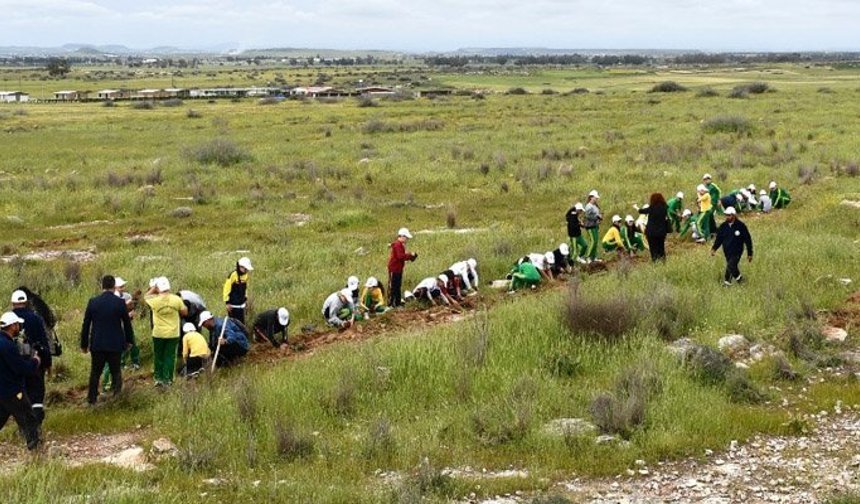 Mesarya bölgesinde 1000 fidan dikildi