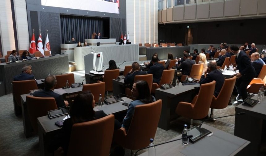 Meclis denetim göreviyle toplanacak