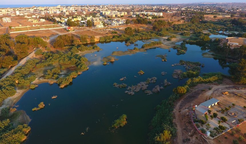 SWIFT çalıştayı: Ayluga Sulak Alanı geri dönüşü zor olan tahribatlarla karşı karşıya