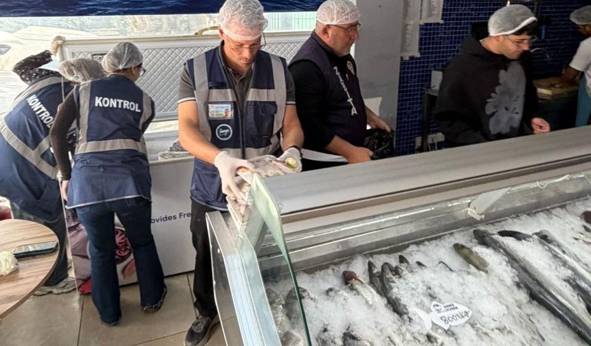 Gönyeli ve Alayköy bölgesindeki su ürünleri perakende satış yerleri denetlendi