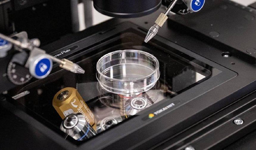 TDP Sağlık Komitesi: “Tüp bebek merkezleriyle ilgili iddialar derhal araştırılmalı"