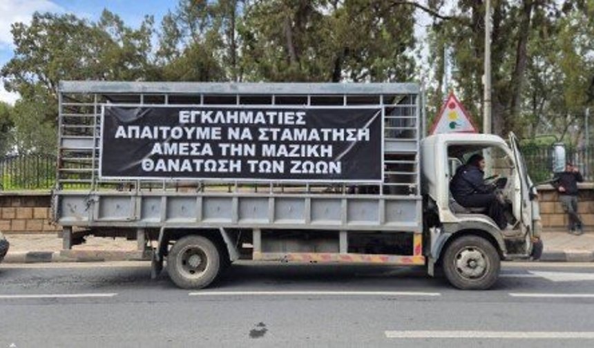 Güney Kıbrıs'ta Hayvancılar eyleme hazırlanıyor