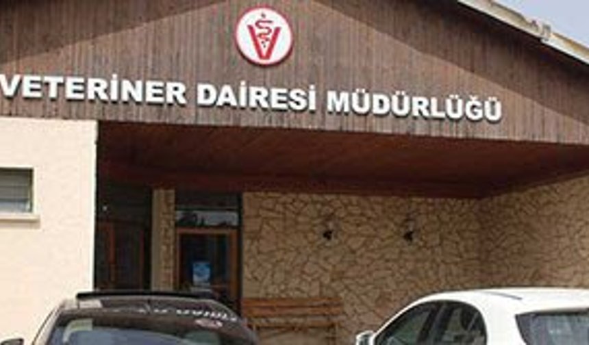 Veteriner Dairesi bayram öncesi denetimlerini sıklaştırdı…