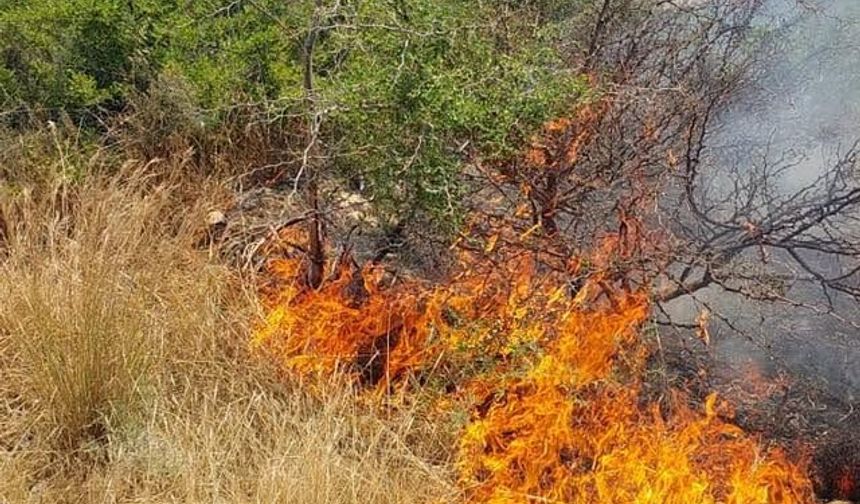 Taşkent’le Güngör arasındaki yangın söndürüldü