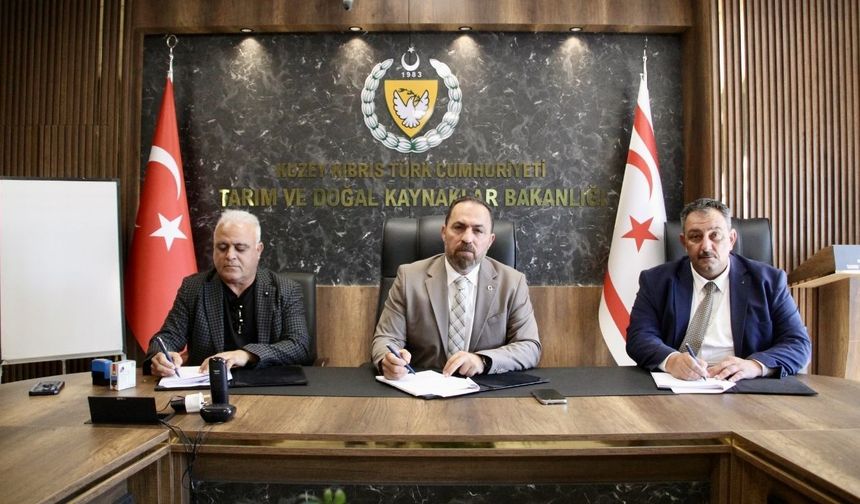 Yukarı Dikmen Kuzeybatı Havzası Deresi’ne betonarme ıslah sekisi yapılıyor