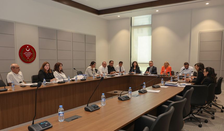 Hukuk Komitesi'nde bir yasa, bir de karar tasarısı görüşüldü