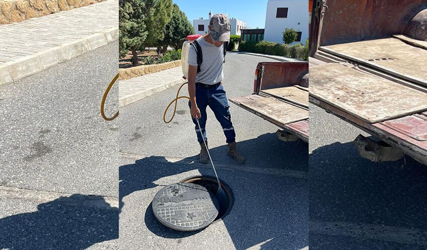 Tatlısu Belediyesi, Batı Nil Virüsü’ne karşı sivrisinekle mücadele çalışmalarını yoğunlaştırdı