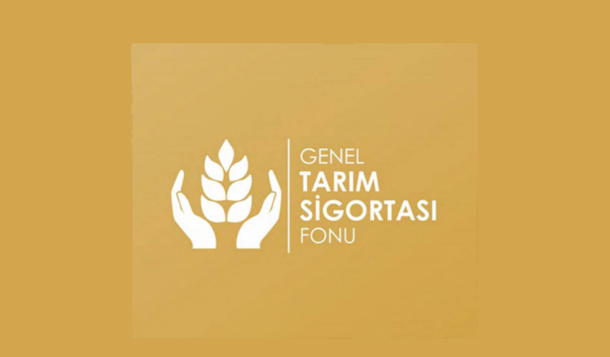 Üreticilere 15 Ekim'e kadar ek beyan süresi verildi