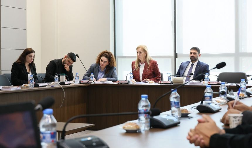 Gemi Faciasının Araştırılmasına İlişkin Meclis Araştırma Komitesi toplandı
