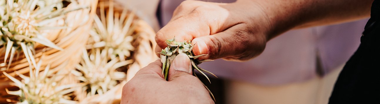 Yiğitler Gafgarıt Festivali 5 Nisan’da yapılıyor