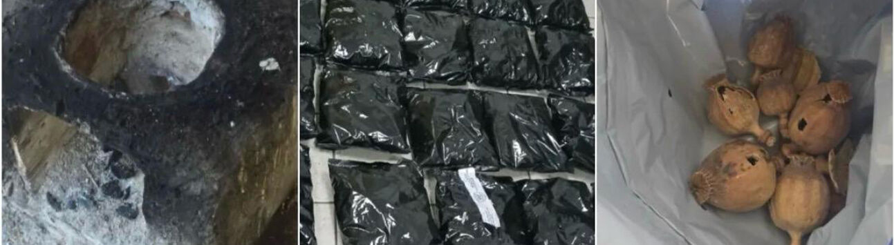 Güney Kıbrıs’ta ilk kez ve çok miktarda afyon haşhaşı ele geçirildi