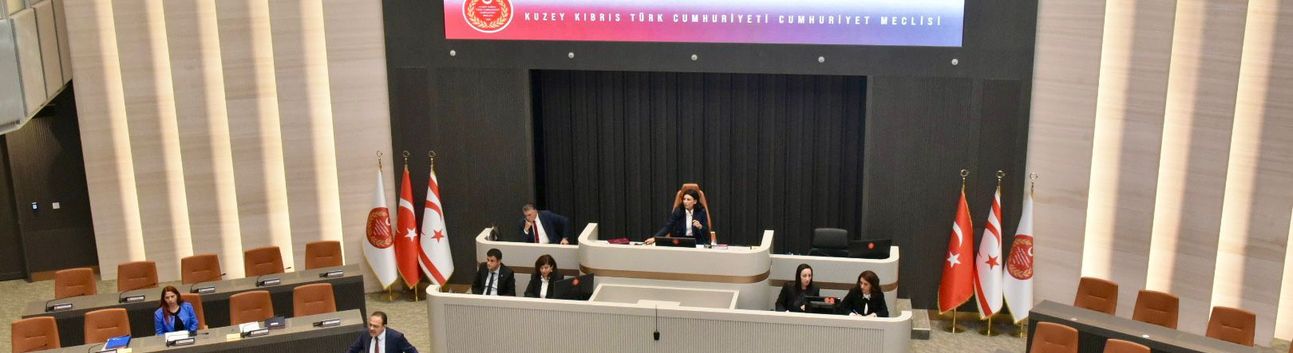 Özdenefe, iç tüzük kurallarına aykırı davranıldığı gerekçesiyle birleşimi kapattı